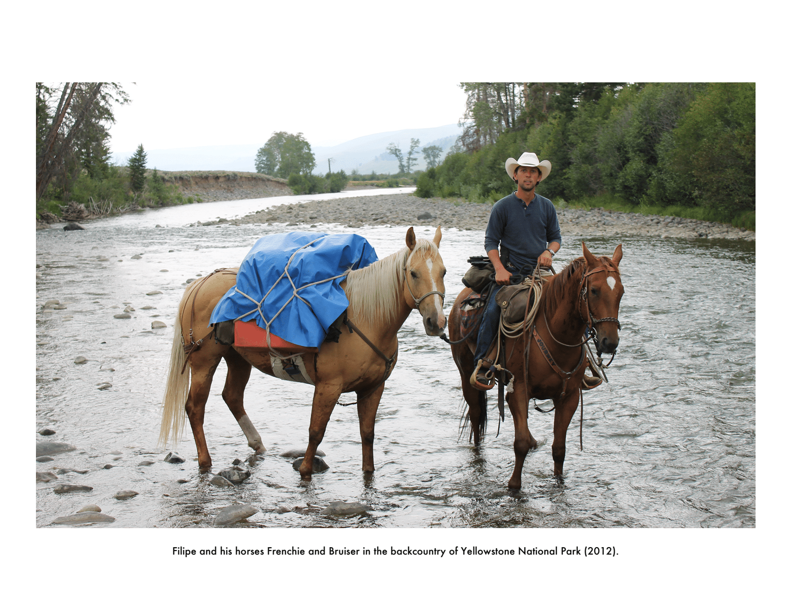 The Long Rider