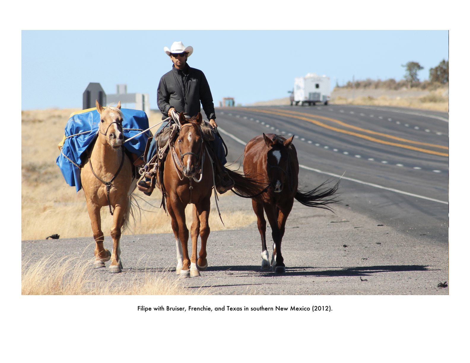 The Long Rider